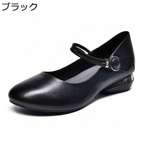 pvX tbgV[Y fB[X B^C ₷ _炩 2.5cmq[ obN SVbN ChC jk RXv y Ȃ ~ r C ʋC ʋ ʊw tH