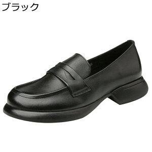 [t@[ RC[t@[ fB[X {v 傫TCY ₷ pvX Xb| g y Ȃ ~ 2.5cm[q[ r d vC wlC JWAV[Y