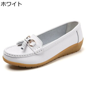 [t@[ ^bZ[t@[ fB[X hCrOV[Y JV EFbW\[ 3cmq[ ₷ 傫TCY Xb| y ~ r jp }}C JWA