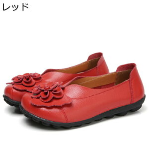 fB[X }}V[Y {v tbgV[Y 22.5-27cm pvX JV U[ ԏ VJbg vC ؂ 傫TCY t  H IV  Ƀ\tg ʋ ItBX d