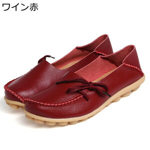 [t@[ JV fB[X {v U[ tbgV[Y }}V[Y 2way Ɠ߂ EhgD vC ؂ ₷ T{ 傫TCY ɂȂ I[V[Y