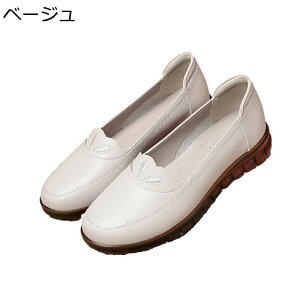 [t@[ JV tbgV[Y fB[X }}V[Y Xb| t  ₷ t  t@bV JWA tFCNU[ K 풅p ʋ ItBX