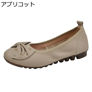 pvX {v fB[X tbg ؂ rWlXV[Y vC U[ v { ₷ }}V[Y Ȗ JWA ֗ ~ K ϖՐ tďH \tg _炩