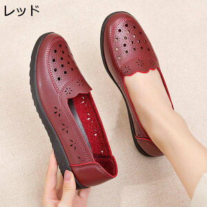 JV  fB[X t [t@[ EhgD pvX tbg }}V[Y EhgD ₷ ؂ tp HC y u₩ Xb| t@bV 