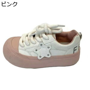 Xj[J[ fB[X eR  Xj[J[ [XAbv  EhgD ؂ւ ЂC NbV _炩 ʋC ₷ yʐ  tďH~p w ʊw