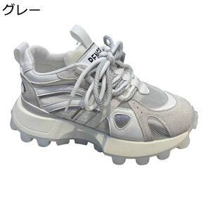 Xj[J[ fB[X ^C JWAV[Y C bV [XAbvV[Y ЂC ʋCz t@bV EH[LO jO _炩 y K w ʋΒʊw