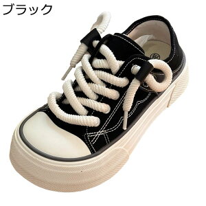 Xj[J[ YbNC fB[X ^C JWAV[Y eЂ LpXV[Y EhgD [XAbv RC ϖՐ t@bV ~ y K EH[LO X|[