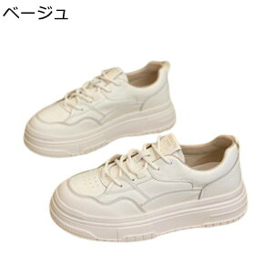 fB[X Xj[J[ X|[cV[Y PUU[ ^C JWAV[Y [XAbv ʋC Vv Ȗ NbV ʋCz yʐ LC Oo AEghA g[j