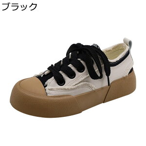 LpXV[Y fB[X YbNC _[W Xj[J[ [Jbg ؂ւ X|[cV[Y jOV[Y ^C JWA ₷ _炩 y ֗ q p