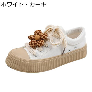 Xj[J[ LpXV[Y fB[X [Jbg [XAbv ԕ h ʋC Ȃ _ K r  i  ʋ ʊw Oo K[Y tďH 