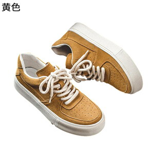 XP[g{[hV[Y Y vC Xj[J[ C [XAbv ďH tbg EH[LOV[Y ~ RC ʋC y tbg amC ^C AEghA WMO  