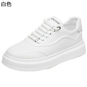 Y JWAV[Y Xj[J[ Hp  XP[g{[hV[Y ɂ ČC Ȃ U[ ϋv y h tbg fbLV[Y X|[c AEghA ^C 