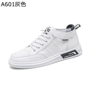 Xj[J[ Y XP[g{[hV[Y LoX JWAV[Y [XAbv ₷  Ȃ ʋC \tg h y [Jbg Sn NVbN d o