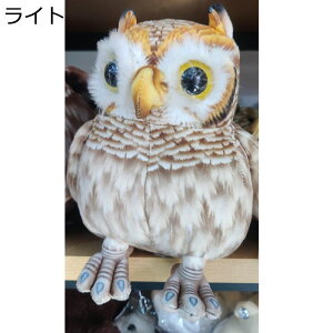 ʂ tNE A cq^  [ybg YQ   ӂӂ ӂ t@bV  CeA a X u v[g q ̎q j̎q yb