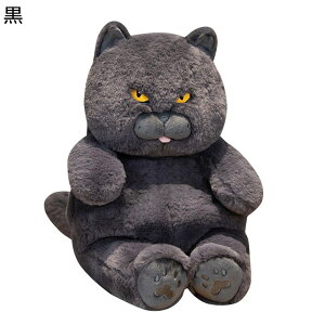 D D L 45cm 60cm ˂ ё NbV  LYQ  ӂӂ _炩  ObY s[ D 傫 CeA  v[g a 