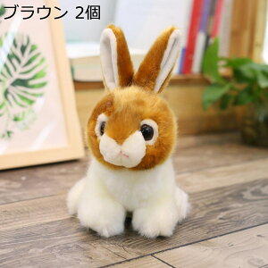 Ae yAZbg 2_Zbg D  ETM ʂ ё VM[  ӂӂ u 킢 Be fXN CeA ₷ GCC G ʉ