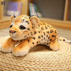 ^ q D { A p v~A 킢 u t@[  ʔ   􂦂 YQ ŋ ʉ 蕨 Mtg  GG 