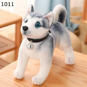 nXL[ Č ʂ @\   u  ӂӂ n Mtg _ YQ  [~[Yp[eB[ w  xbh \t@[ A ̎q