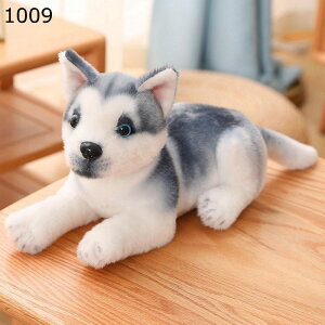 nXL[ Č ʂ @\   u  ӂӂ n Mtg _ YQ  [~[Yp[eB[ w  xbh \t@[ A ̎q