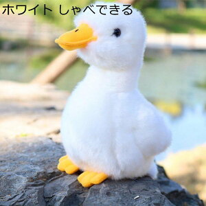 Aq ʂ @\  ׂ邨 u Mtg zCg CG[  _炩  ӂӂ xbh YQ \t@[ q ޏ NX}Xv[g n