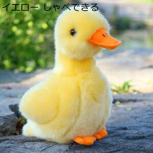 Aq ʂ @\  ׂ邨 u Mtg zCg CG[  _炩  ӂӂ xbh YQ \t@[ q ޏ NX}Xv[g n
