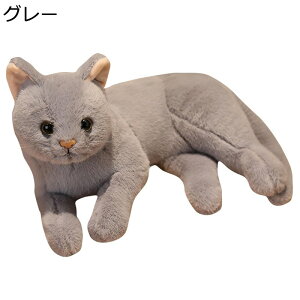 L A ʂ @\   }XRbg  ӂӂ n 킢 _炩  xbh \t@[ Ԃ ޏ YQ j  NX}Xv[g