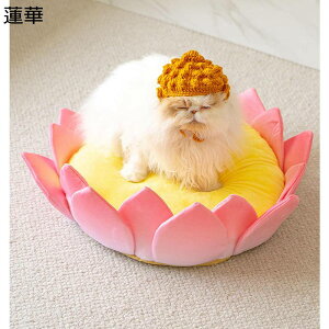 nX̉ԊO @ ybgxbh NbVt O ybgp̖Xqt Ԍ^ ʔN ɂ Q Lxbh q^\t@[ 킢 sN xe ϊ [^X IV