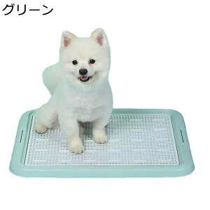 ybgg[jO}bg pg[ bVObh  tȒPی|ȒP 2wfUC h~ ybggC ^ V[cjh~ ȒPɑ| Ə𐴌ɕۂ Lp