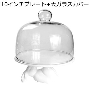 P[LfBXvCX^h P[Lv[g ETM` e  zCg Z~bN fU[gX^h P[LWp G ƒp  َqM R|[g   a p[