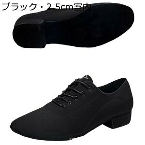 Ќ_XV[Y [q[2.5cm _X V[Y fB[X Y R [XAbv X^_[h _XXj[J[ ʋC ₷ _ Ȃ ~[WJpV[Y ̑ 