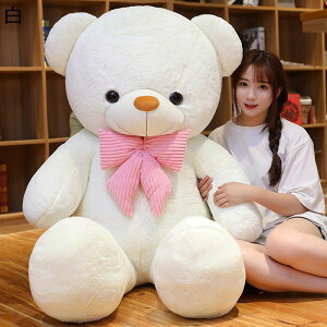 efBxA[ {N} Fʂ  VM[    D  YQ X u v[g Be Mtg FB q ₷ GG GCC