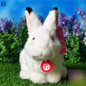  ʂ {݂ e ܂    GG ӂӂ 炩 p  jv[g xbh[ ˂ނ˂ NX}X ޏ q