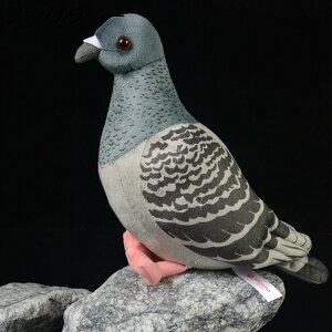 ng ʂ  {݂ ̂  JCC GG X n _炩 L[g ӂӂ  av[g CeA qǂ K[th