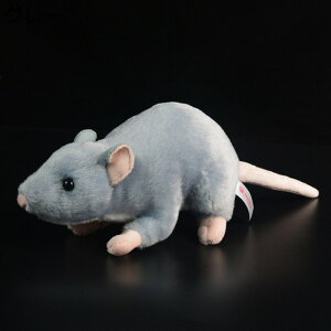 ʂ bg lY~ {݂    G L[g u X[p[\tg 炩  ˂ނ˂  ӂӂ tt n X TvCY