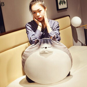 L ˂cq D ܂ ۂ  rbOTCY  킢 w  XgX ObY G ӂӂ 炩 K Mtg xbh[ ˂ނ˂ ޏ q