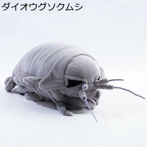 ʂ   킢   킢 ӂӂ 炩  ll TvCY hbL FB bNX  av[g xbh[