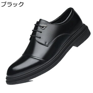 rWlXV[Y Y hXV[Y 傫TCY OH amC vC PUU[ g Xg[g`bv h ʋC ~ jp   I[V[Y tH[}V