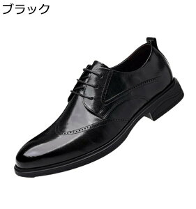 rWlXV[Y Y hXV[Y vC amC U[ OH  EBO`bvV[Y ~ ʋC tH[}V[Y 傫TCY ʊw ʋΗp  jp EF