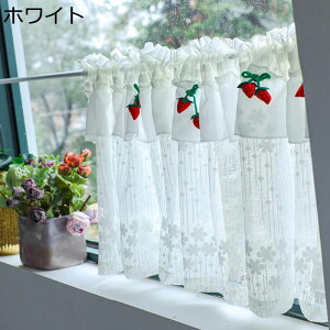 JtFJ[e p  Ռ fM UVJbg ȃGl V[gJ[e Lb` iX ډB t  H ~ CeA _ JƏj o^Cf[ v[g ˂_Ȃ 1.