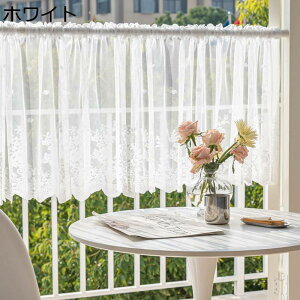 [XJ[e hJ̉ԕ JtFJ[e  ډB p Ց ȃGl iX JtF x_ ʏ o  CeA ˂_Ȃ V aMtg zj