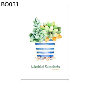 p fMtB A KXV[ uvJbg ͂ œ\ ډBV[g 悯 ΍  Xg V   pډBtBV[g AT{e