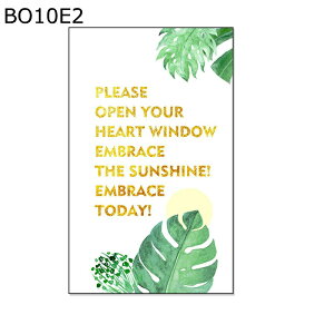 t~S tB    KXV[ ډB fM Ռ uvJbg V Vzj œ\ ÓdCz C rO[ x_ ݓKp KX