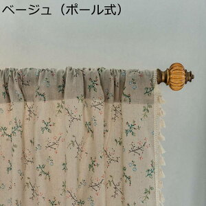 JtFJ[e ԕ ^bZt pJ[e z ډBJ[e Ռ Ԏd؂J[e  70cm60cm45cm 􂦂 V[g ȃGl g a i a {I Lb` 