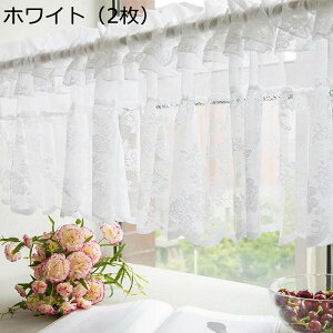 JtFJ[e ԕ hJ [X  pJ[e  ډBJ[e Ռ  ZJ[e 45cm |[  Lb` hAB m vZX GKg tȒP 