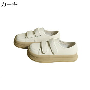 Xb| Xj[J[  RtH[gV[Y nCJbg ₷ E炭炭 fB[X Cq[ y gUP r b ʋ rWlX JWA i ɂ _炩 