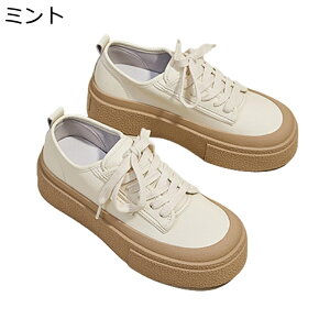  Xj[J[ vbgtH[ X|[cV[Y fB[Xg EH[L WMO K tBbg L r b  i lJWA ꂢ ʋ d o 