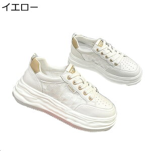 X|[cV[Y Xj[J[  [Jbg fB[X [XAbv Eh   h NbV  JWA K g4.5cmUP tBbg tHp o W[