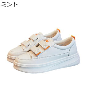  Xj[J[ RtH[gV[Y [Jbg Eh xN ₷ fB[X  L b ʋ ʊw  i K tBbg H ʋC Oo ʔNKp 