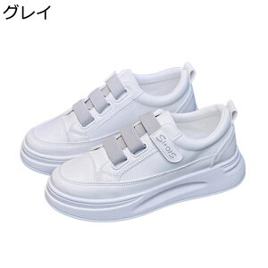 Xj[J[  4cmUP xN fB[X [Jbg E炭炭 h ~ RtH[g E֗ L  i  ʋ d o I[V[Y n