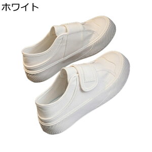 j[J[ LoX zCg  [Jbg xN EhgD ʋC L b fB[X y  Ȃ ₷ _ ʋ ʊw  i  tHp Oo 